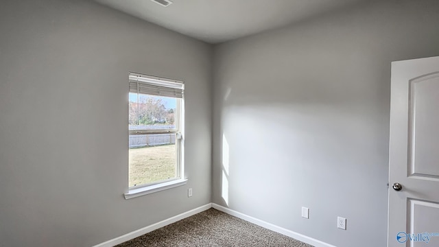 unfurnished room with carpet flooring and a healthy amount of sunlight