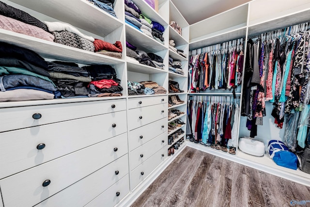 207 Jubilee Cir SE, Huntsville, AL 35803 - walk in closet with wood finished floors