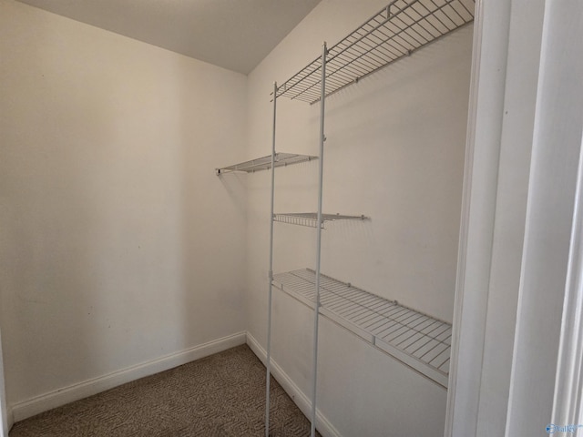 walk in closet with carpet floors