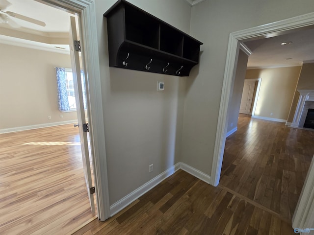 mudroom featuring ceiling fan, ornamental molding, and hardwood / wood-style floors