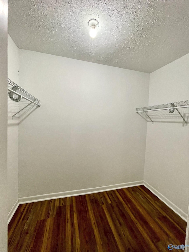 walk in closet featuring wood finished floors