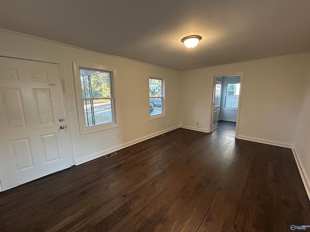 entrance foyer with dark hardwood / wood-style floors and a wealth of natural light