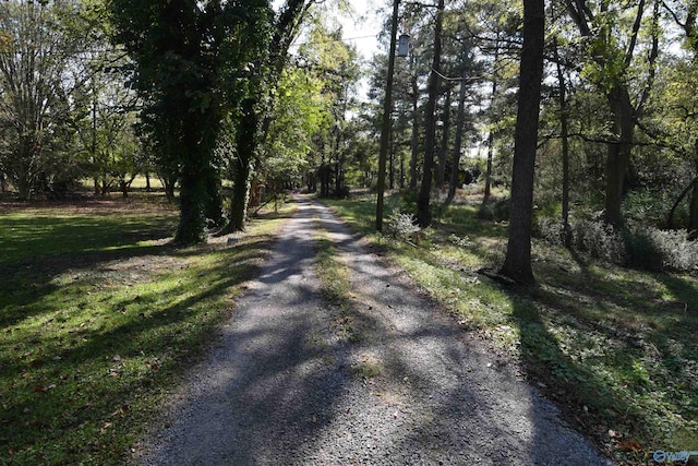 view of road