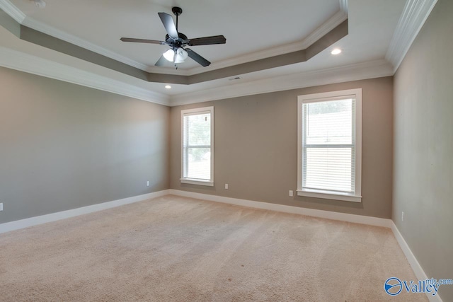 carpeted spare room featuring a raised ceiling, ceiling fan, and crown molding