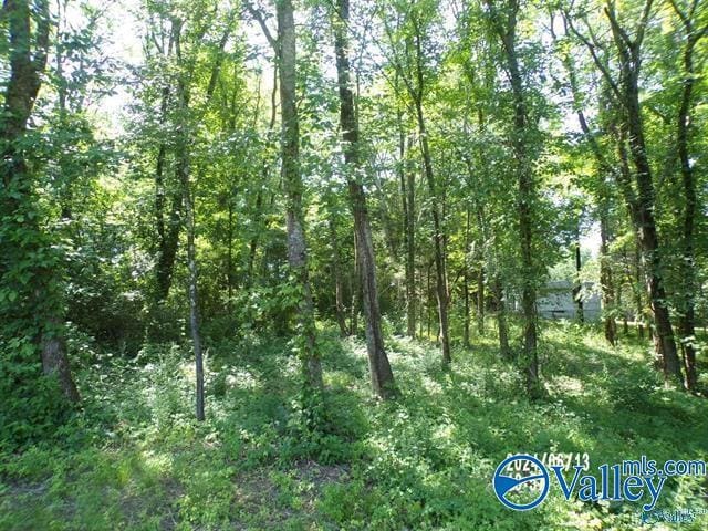31ACLOT Hackberry Ln, Hokes Bluff AL, 35903 land for sale