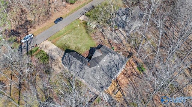 drone / aerial view