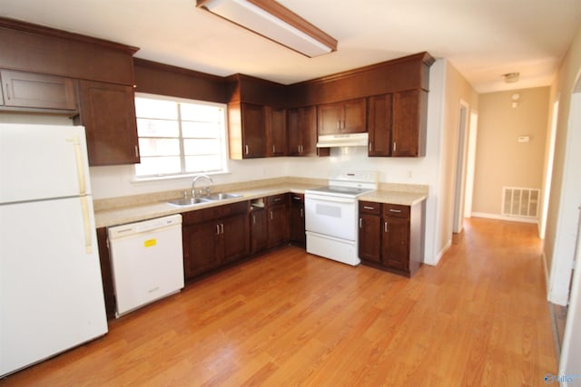 kitchen featuring sink, white appliances, and light hardwood / wood-style floors