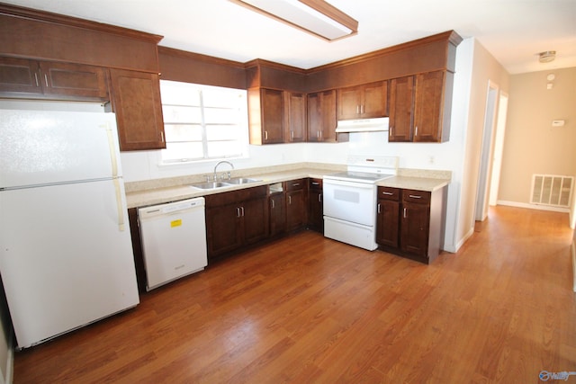 kitchen featuring white appliances, light hardwood / wood-style floors, and sink