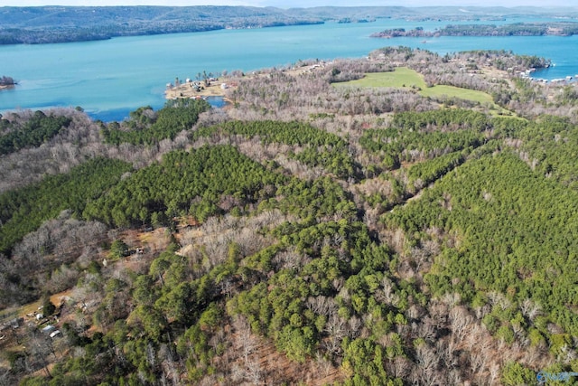 20ACRES Murphy Hill Rd, Langston, AL 35755