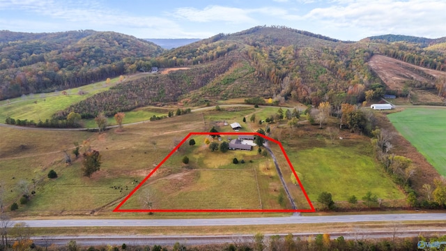 birds eye view of property featuring a rural view and a mountain view