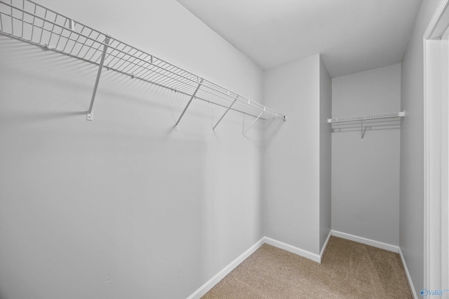 377 Robinson Rd, Huntsville, AL 35811 - walk in closet with carpet floors