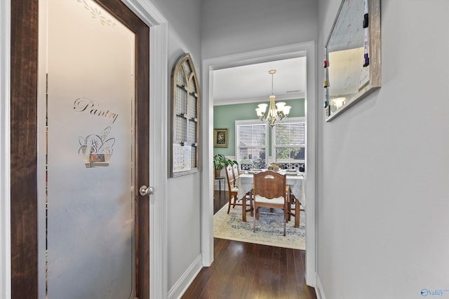 entryway featuring baseboards, ornamental molding, dark wood finished floors, and a notable chandelier