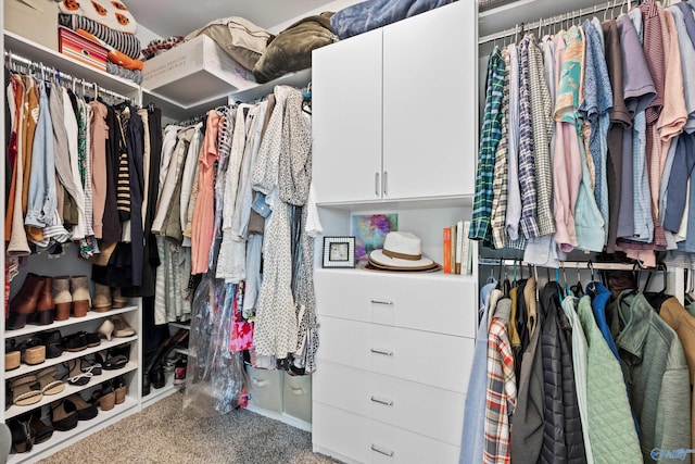 walk in closet featuring carpet floors