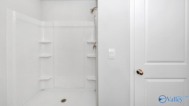 6156 Feather Way SE, Owens Cross Roads, AL 35763 - bathroom with a shower