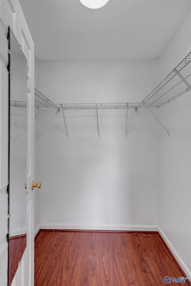 spacious closet with hardwood / wood-style flooring