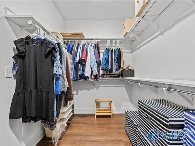 23819 Justin Brent Cir, Elkmont, AL 35620 - walk in closet featuring wood finished floors