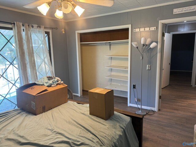 bedroom with ceiling fan, ornamental molding, a closet, and dark hardwood / wood-style flooring