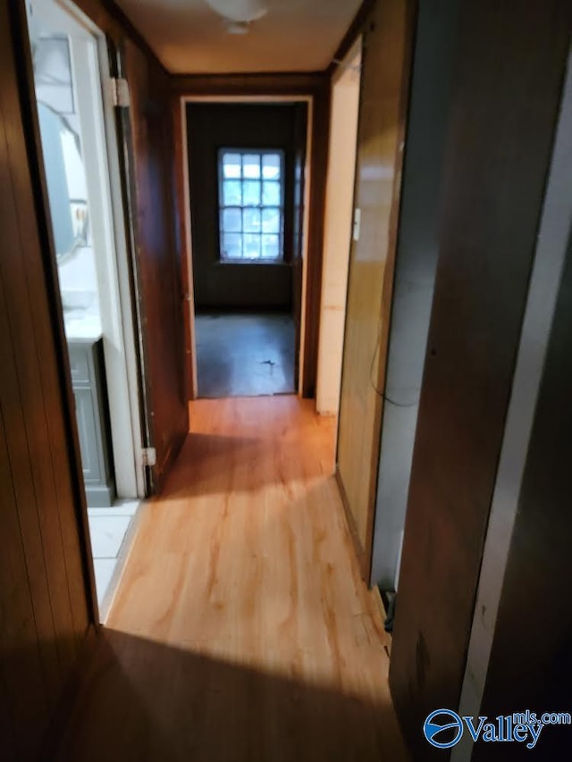 hallway featuring wood walls and light wood-type flooring