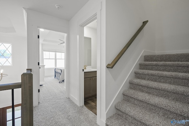 stairway featuring ceiling fan, sink, and carpet floors