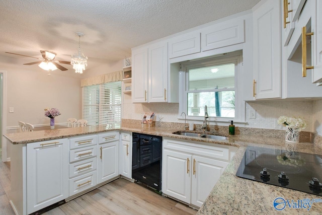 kitchen featuring black appliances, light stone counters, light hardwood / wood-style floors, and white cabinets