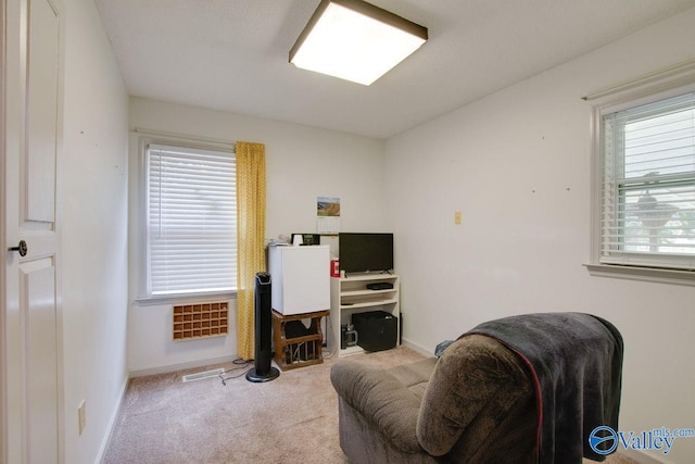 living area with carpet flooring