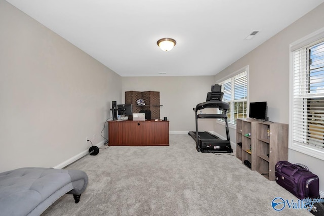 114 Burdine St, New Market, AL 35761 - workout area with healthy amount of natural light, carpet, and baseboards