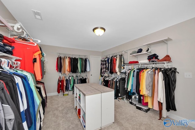 114 Burdine St, New Market, AL 35761 - spacious closet featuring light carpet