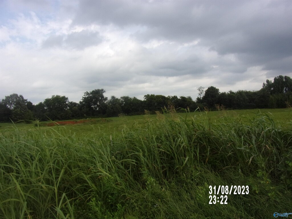 23713 Old Homeplace Way Lot 3, Athens, AL 35613