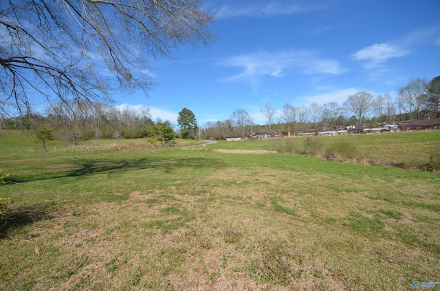 view of yard featuring a rural view