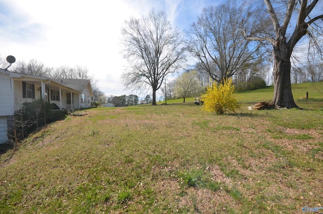 view of yard