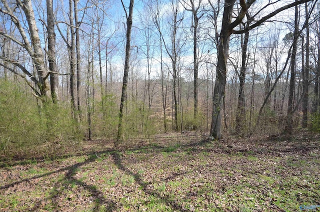 view of local wilderness with a forest view