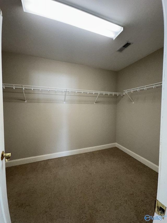 walk in closet featuring carpet flooring and visible vents