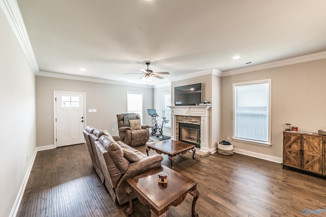 living room with dark hardwood / wood-style floors, ceiling fan, a stone fireplace, and ornamental molding