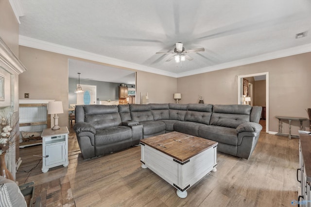 20729 Colonial Dr, Athens, AL 35614 - living room with a ceiling fan, light wood-type flooring, crown molding, plenty of natural light, and baseboards