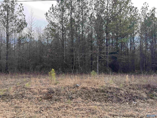 Listing photo 3 for 23/-ACRES Northwood Dr, Centre AL 35960