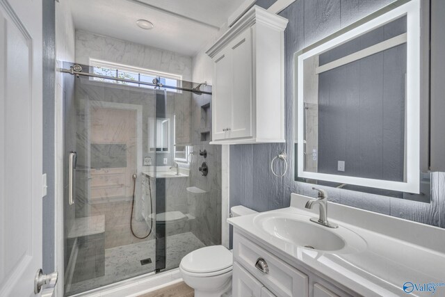 bathroom featuring vanity, toilet, and walk in shower