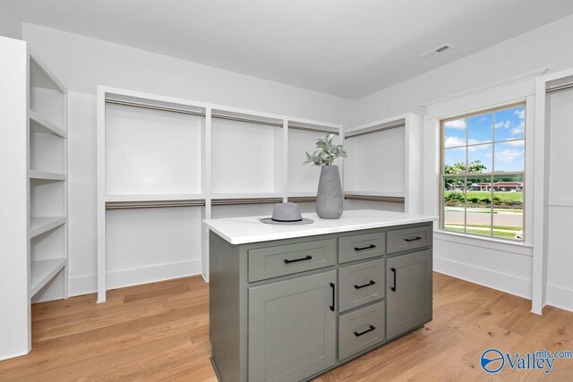 217 Idle Creek Dr, Huntsville, AL 35811 - spacious closet with light wood finished floors and visible vents