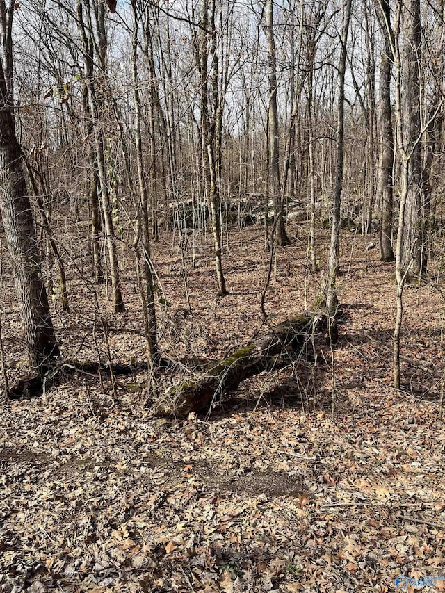 0001 Rock Spring Rd, Owens Cross Roads, AL 35763