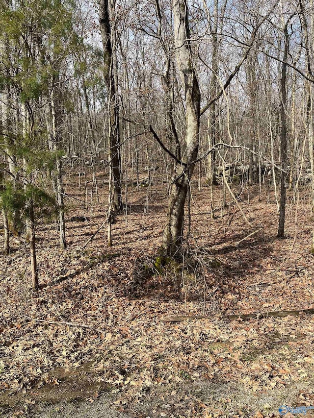 0001 Rock Spring Rd, Owens Cross Roads, AL 35763