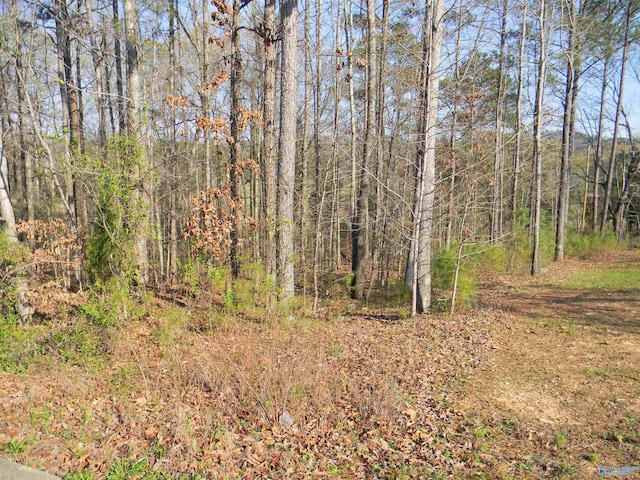 LOT1 Cade Cir, Leesburg AL, 35983 land for sale