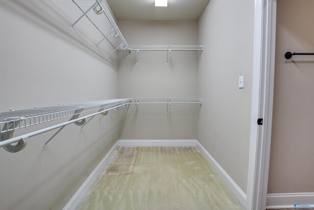 spacious closet featuring carpet flooring