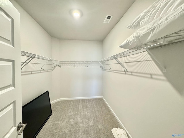 walk in closet featuring visible vents and carpet floors