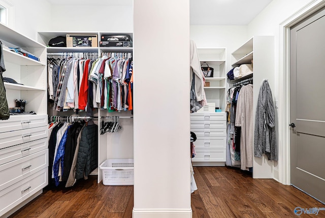 spacious closet with dark wood-style flooring