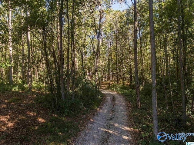 431 County Road 30, Roanoke, AL 36274