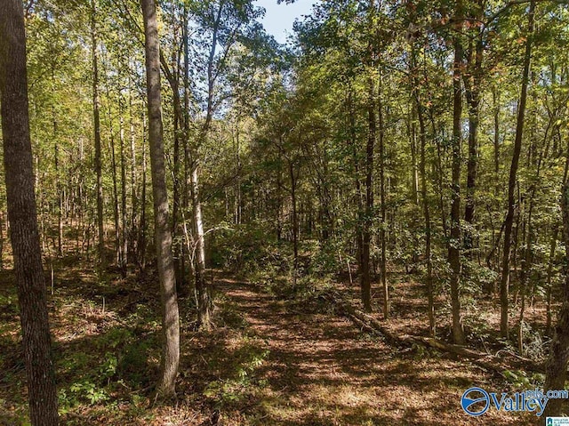 431 County Road 30, Roanoke, AL 36274