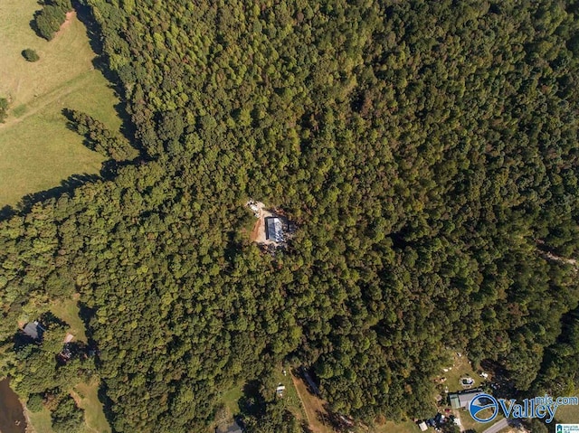 431 County Road 30, Roanoke, AL 36274
