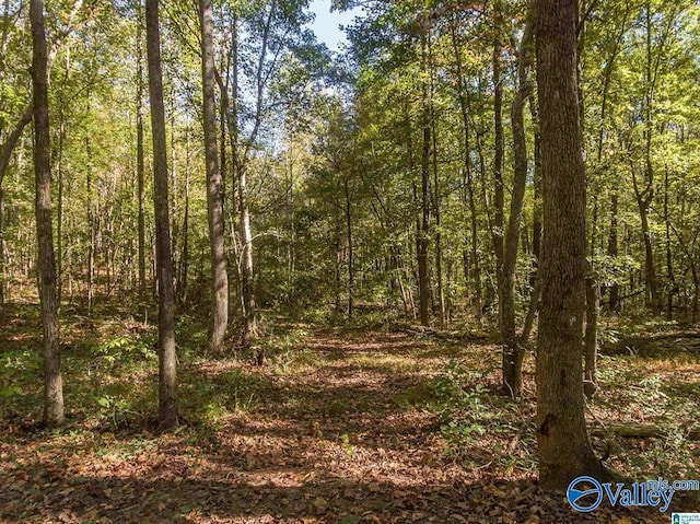 431 County Road 30, Roanoke, AL 36274
