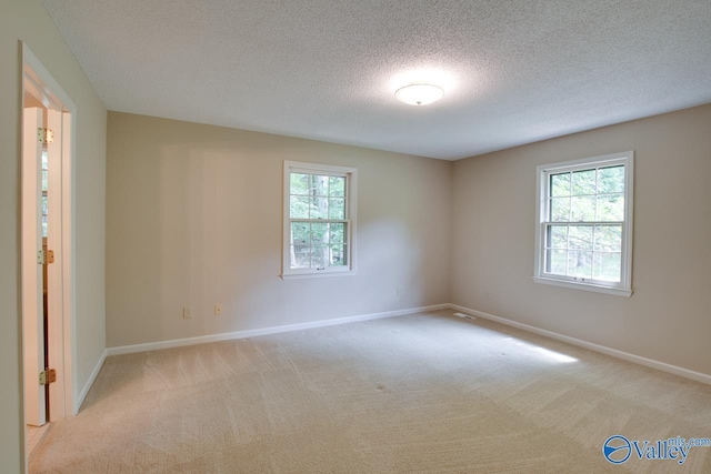 2703 Box Canyon Rd SE, Huntsville, AL 35803 - unfurnished room with healthy amount of natural light, a textured ceiling, and light carpet