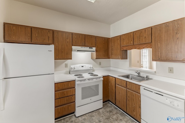 kitchen featuring sink and white appliances