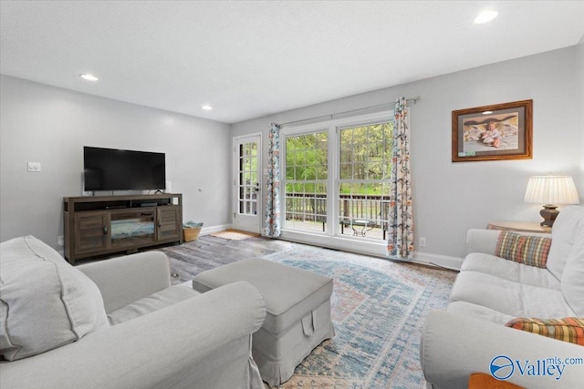 1762 Old Big Cove Rd SE, Owens Cross Roads, AL 35763 - living room featuring wood finished floors, baseboards, and recessed lighting